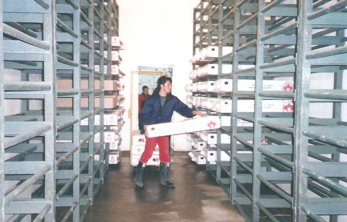 estantería de cuarto frio estante congelación estanterías dentro del frigorífico estanterías para cuartos fríos de conservación flores alimentos estanterías plásticas antiderrames estantes 0007 estantería de cuarto frio estante congelación estanterías dentro del frigorífico estanterías para cuartos fríos de conservación flores alimentos estanterías estantería de cuarto frio estante congelación estanterías dentro del frigorífico estanterías para cuartos fríos de conservación flores alimentos estanterías plásticas antiderrames estantes 0007 plásticas antiderrames estantes 0007